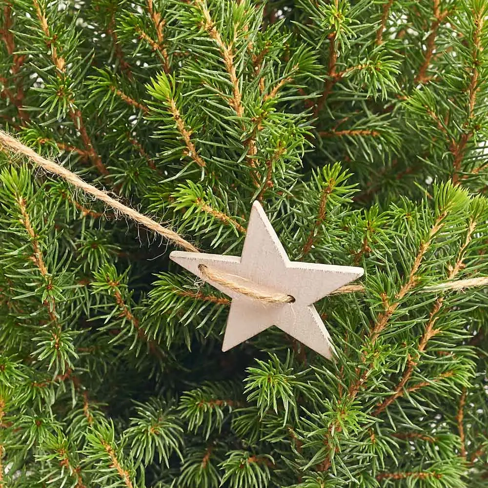 Ялина Магніфік у метал. відрі, артикул: 53600 Зображення товару Ялина Магніфік у метал. відрі, артикул: 53600