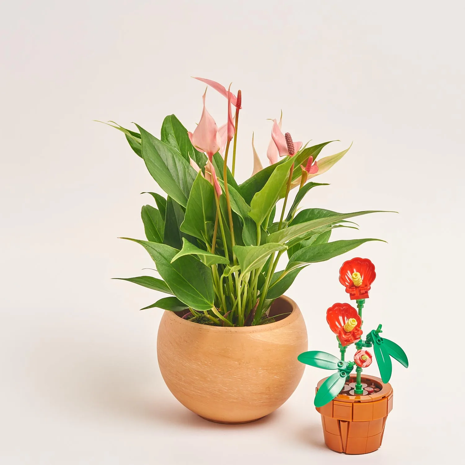 Зображення товару Сет LEGO та Антуріум у кашпо, артикул: 57031