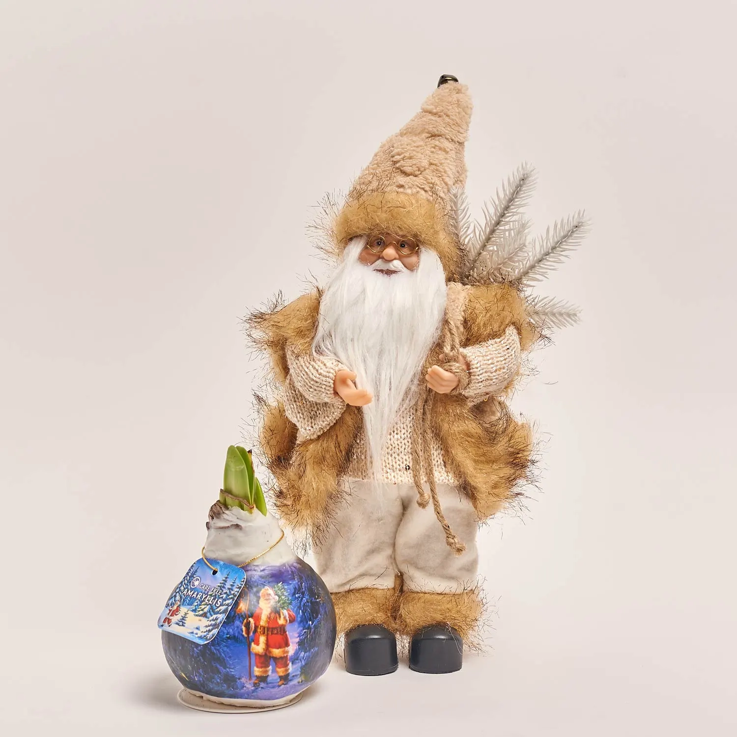 Зображення товару Амариліс у воску та іграшка новорічна "Санта" Сет 514, артикул: 54581