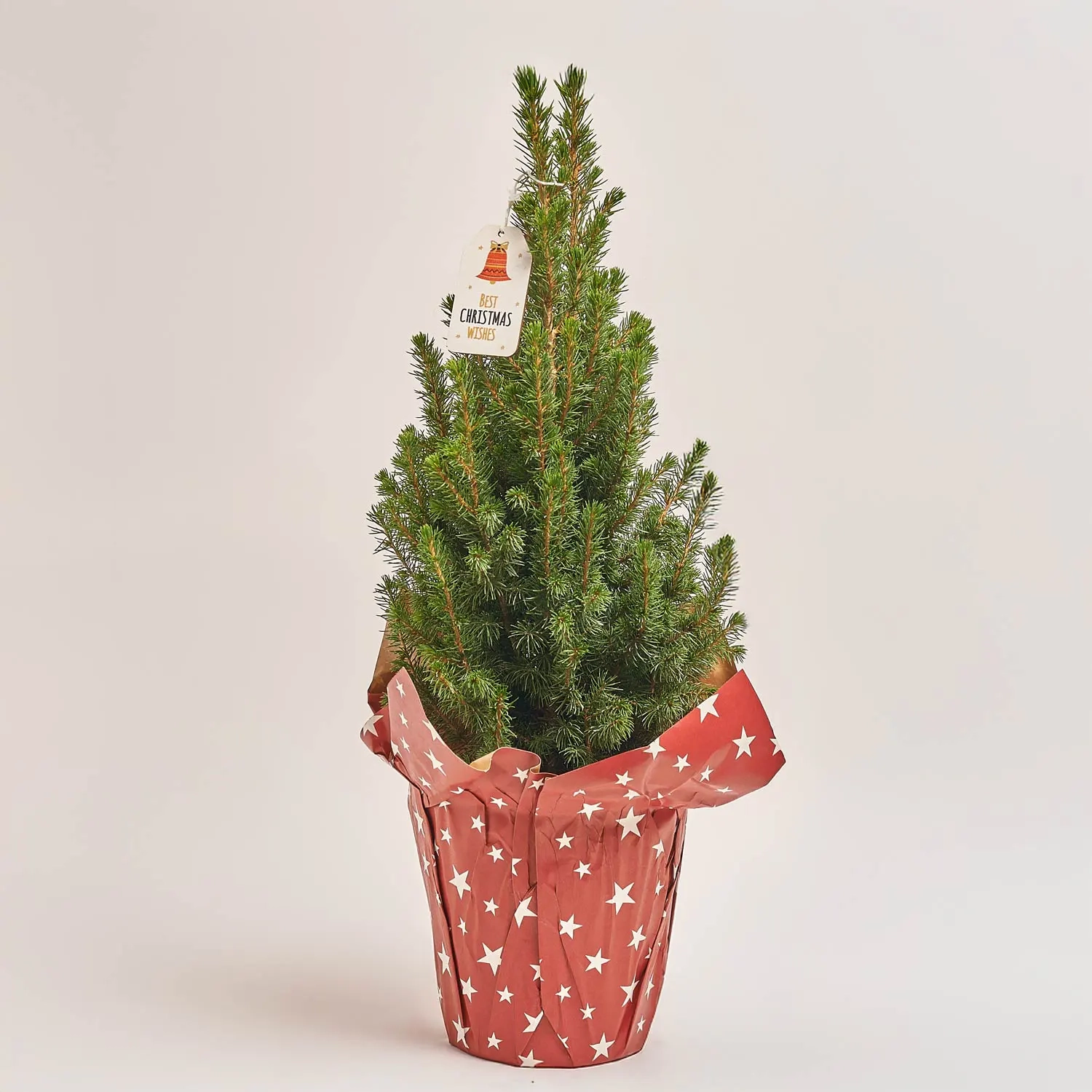 Ялина Перфекта Декор, артикул: 54119 Зображення товару Ялина Перфекта Декор, артикул: 54119