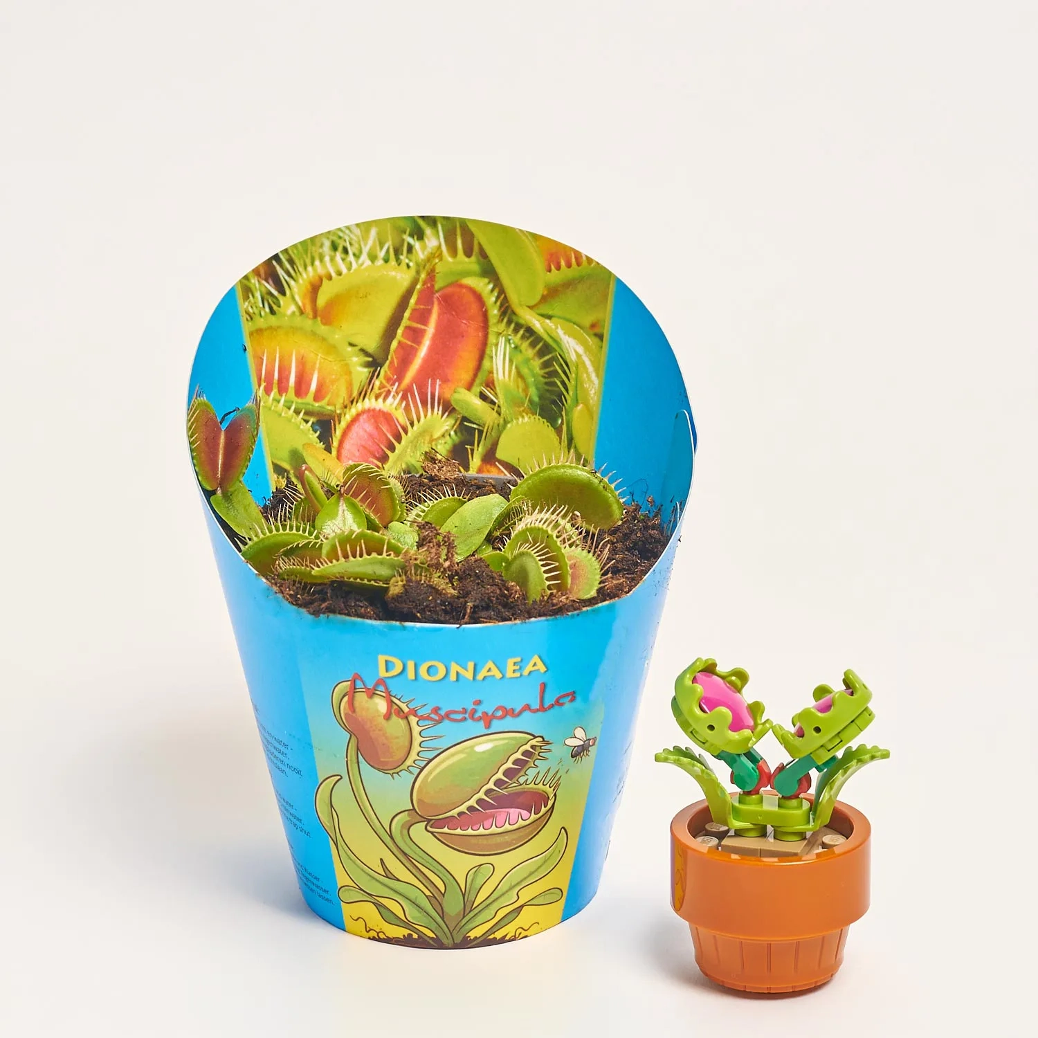 Зображення товару Сет LEGO та Діонея, артикул: 57034