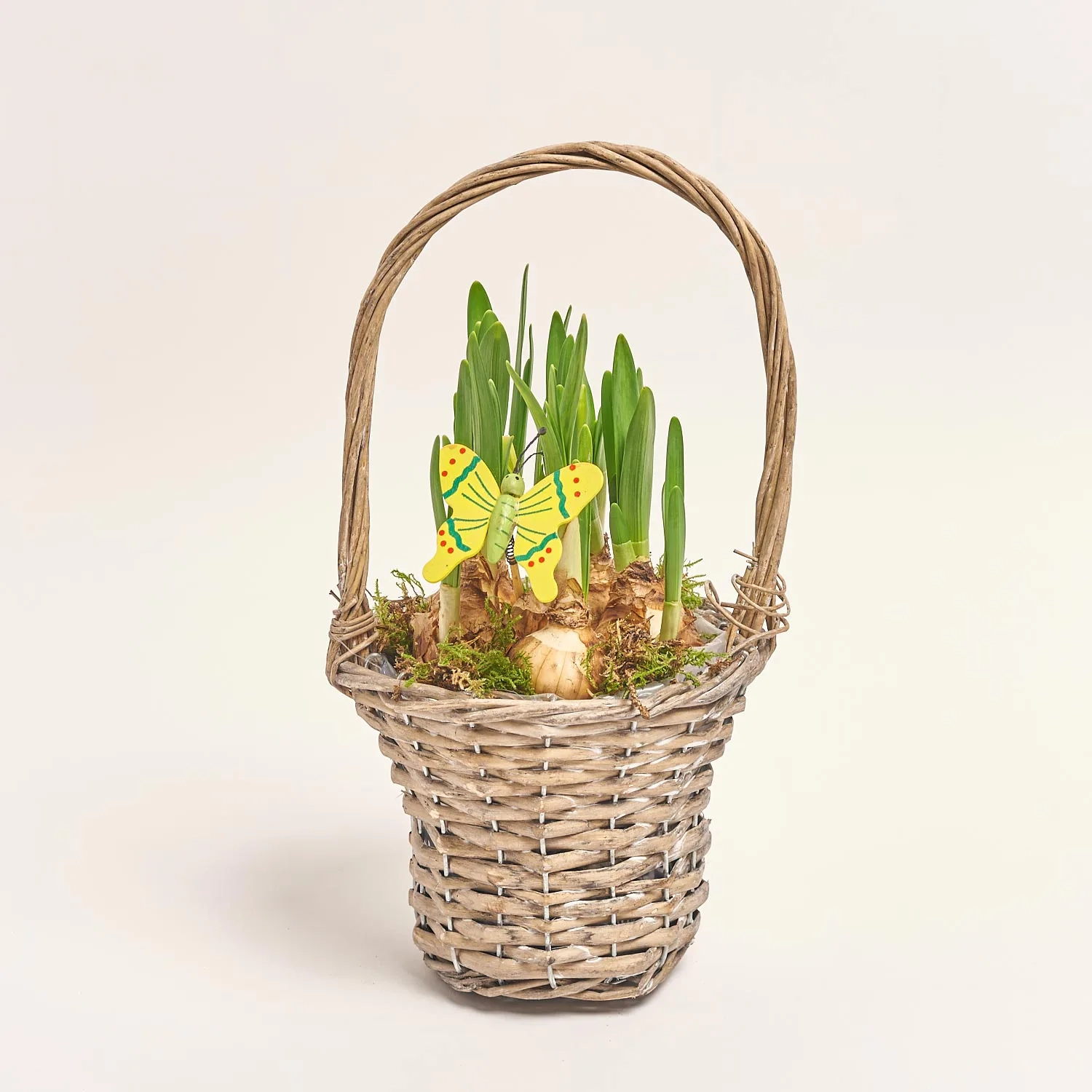 Зображення товару Нарцис Тет-а-Тет у плет. корзині, артикул: 56435