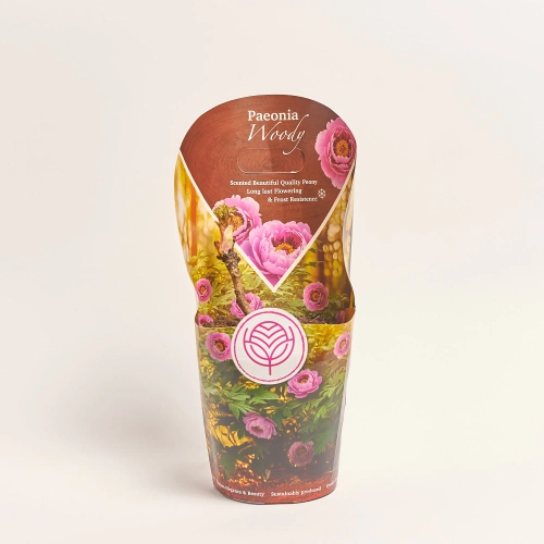 Зображення товару Півонія Суфрутикоза мікс, артикул: 57024