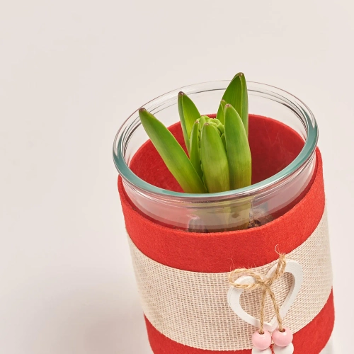 Гіацинт мікс у склі, артикул: 55683 Зображення товару Гіацинт мікс у склі, артикул: 55683