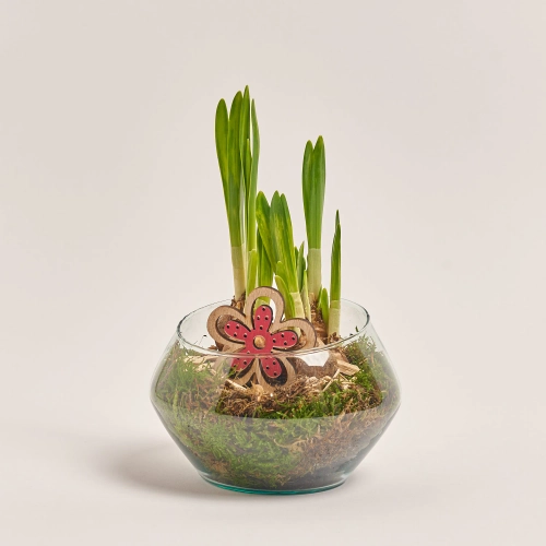 Зображення товару Композиція Нарцис у склі, артикул: 54986