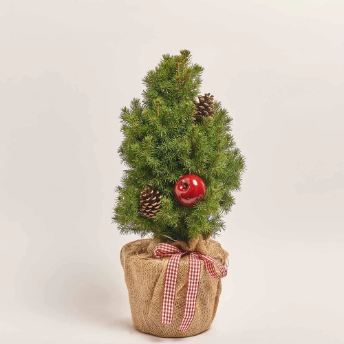 Композиція Ялина Коніка декор, артикул: 31803 Зображення товару Композиція Ялина Коніка декор, артикул: 31803