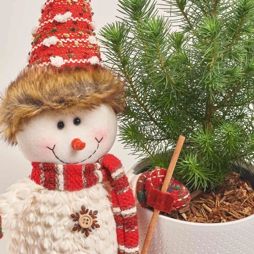 Зображення товару Сосна в керамічному кашпо та іграшка новорічна "Сніговик" Сет 512, артикул: 54580