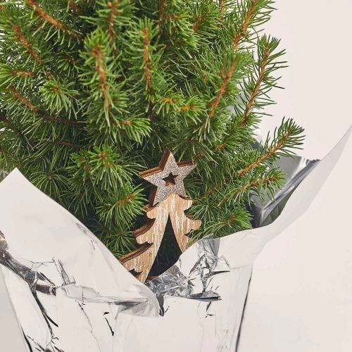 Ялина Перфекта декор, артикул: 31562 Зображення товару Ялина Перфекта декор, артикул: 31562