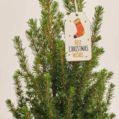 Зображення товару Ялина Перфекта Декор, артикул: 54119