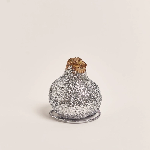 Зображення товару Амариліс мікс у воску гліттер, артикул: 53454