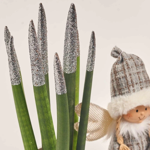 Зображення товару Сансевієрія в керамічному кашпо та новорічна іграшка «Ангел» Сет 515, артикул: 54582