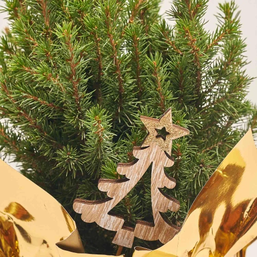 Ялина Перфекта декор, артикул: 53917 Зображення товару Ялина Перфекта декор, артикул: 53917