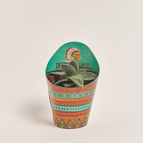 Зображення товару Алоє мікс, артикул: 46262