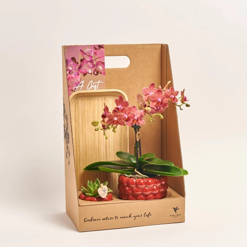 Сет "Смол Беррі" Колібрі, артикул: 56228 Зображення товару Сет "Смол Беррі" Колібрі, артикул: 56228