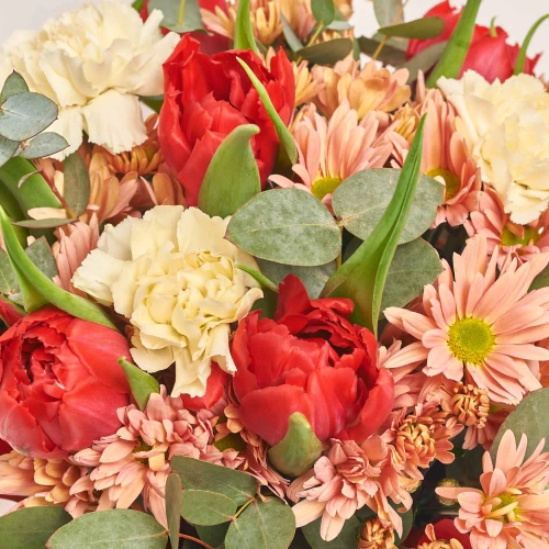 Композиція Кашпо 621, артикул: 55734 Зображення товару Композиція Кашпо 621, артикул: 55734