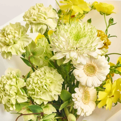 Букет D3377, артикул: 57543 Зображення товару Букет D3377, артикул: 57543