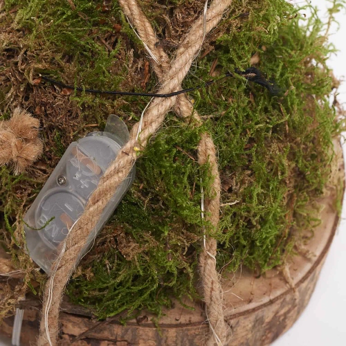 Композиція Амариліс з мохом, артикул: 53453 Зображення товару Композиція Амариліс з мохом, артикул: 53453