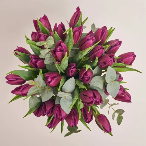 Зображення товару Композиція з фіолетових тюльпанів у кашпо F111, артикул: 55744