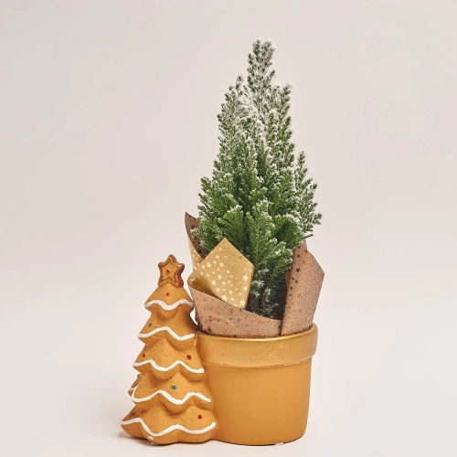 Кипарис Елвуді Декор в кер., артикул: 54047 Зображення товару Кипарис Елвуді Декор в кер., артикул: 54047