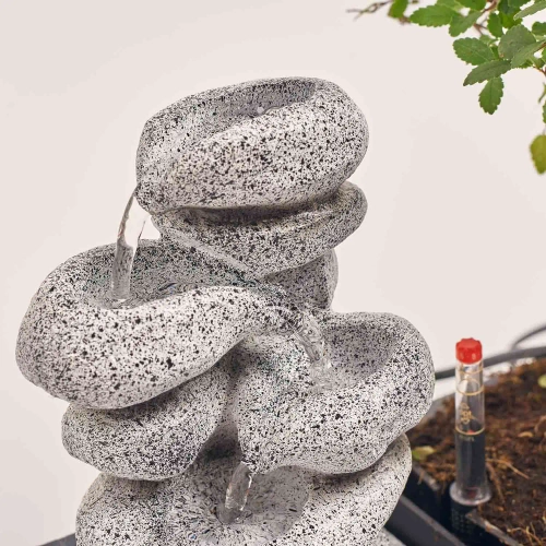 Бонсай мікс, артикул: 17945 Зображення товару Бонсай мікс, артикул: 17945