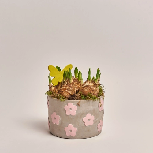 Нарцис мікс в кер., артикул: 43896 Зображення товару Нарцис мікс в кер., артикул: 43896