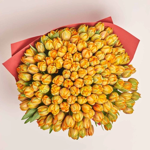 Зображення товару Букет 151 помаранчевий піоновидний Тюльпан F1005, артикул: 54168