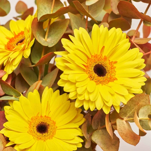 Зображення товару Букет D4178, артикул: 52496