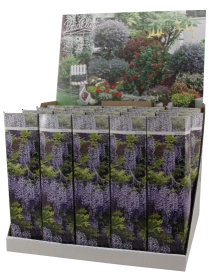 Зображення товару Гліцинія, артикул: 57012