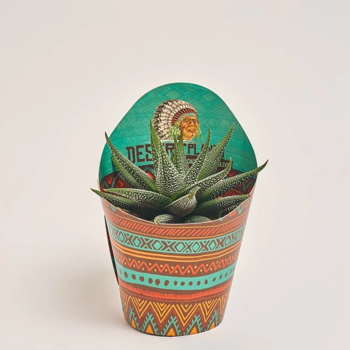 Зображення товару Алоє мікс, артикул: 46262