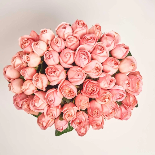 Зображення товару Букет 51 Рожева Піоновидна Троянда F832, артикул: 56422