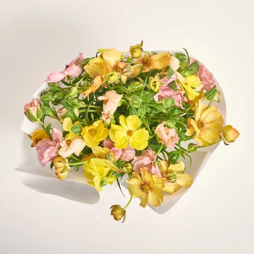 Зображення товару Букет 25 Ранункулюсів Батерфляй Мікс F687, артикул: 57557