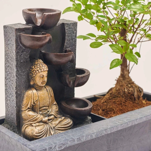 Бонсай мікс, артикул: 17945 Зображення товару Бонсай мікс, артикул: 17945