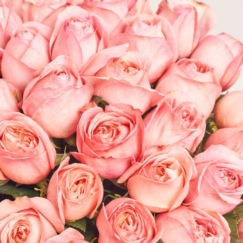 Зображення товару Букет 51 Рожева Піоновидна Троянда F832, артикул: 56422