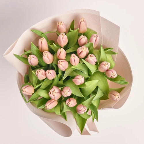 Зображення товару Букет 25 Бежевих Тюльпанів F597, артикул: 45968