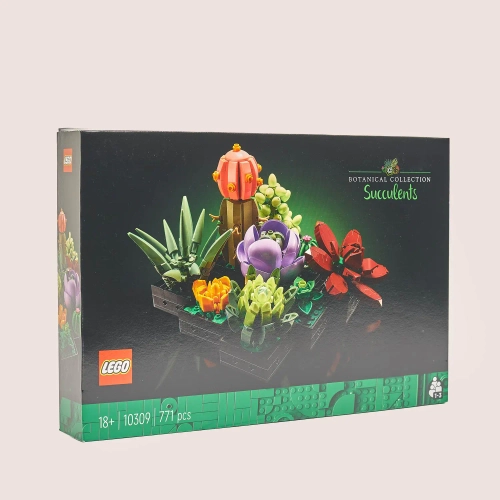 Зображення товару Конструктор LEGO Botanicals Сукуленти, артикул: 54655