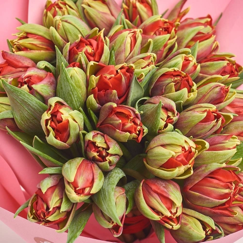 Зображення товару Букет 39 Червоних Піоновидних Тюльпанів F615, артикул: 35743