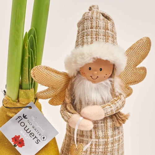 Зображення товару Амариліс у воску та іграшка новорічна "Ангел" Сет 515, артикул: 54583