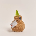 Зображення товару Амариліс "Коузі Тедді", артикул: 54804