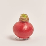 Зображення товару Амариліс мікс у воску, артикул: 22573