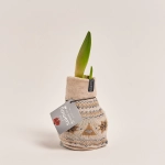 Зображення товару Амариліс "Фешн Нордік", артикул: 54805