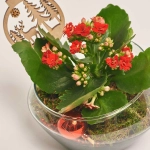 Зображення товару Композиція Каланхоє у склі, артикул: 44720