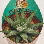 Зображення товару Алоє мікс, артикул: 46262