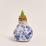 Зображення товару Амариліс Ротердам принт у воску, артикул: 54935