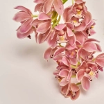 Зображення товару Цимбідіум Ред Барон 3ст., артикул: 43958