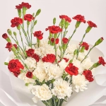 Зображення товару Букет Гвоздик Love U  F443, артикул: 44632
