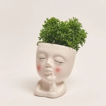 Зображення товару Рипсаліс мікс "Фейс", артикул: 55301