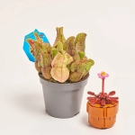 Зображення товару Сет LEGO та Сараценія, артикул: 57038