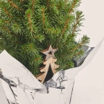 Зображення товару Ялина Перфекта декор, артикул: 31562