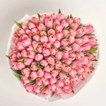 Зображення товару Букет 101 Рожевий Тюльпан F834, артикул: 56932