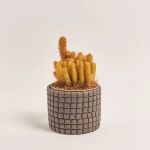 Зображення товару Кактус мікс в кер., артикул: 56882